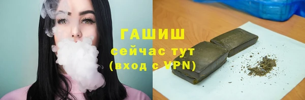 молекула духа Богданович